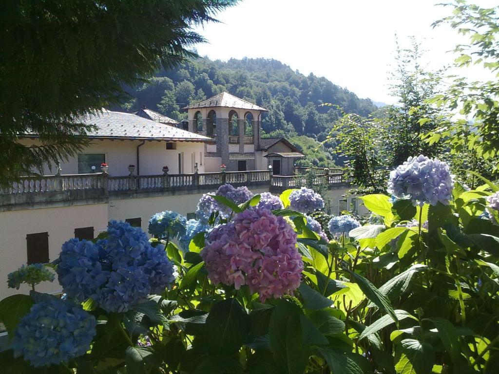Hotel Villa Delle Ortensie Sant'Omobono Imagna Exterior foto